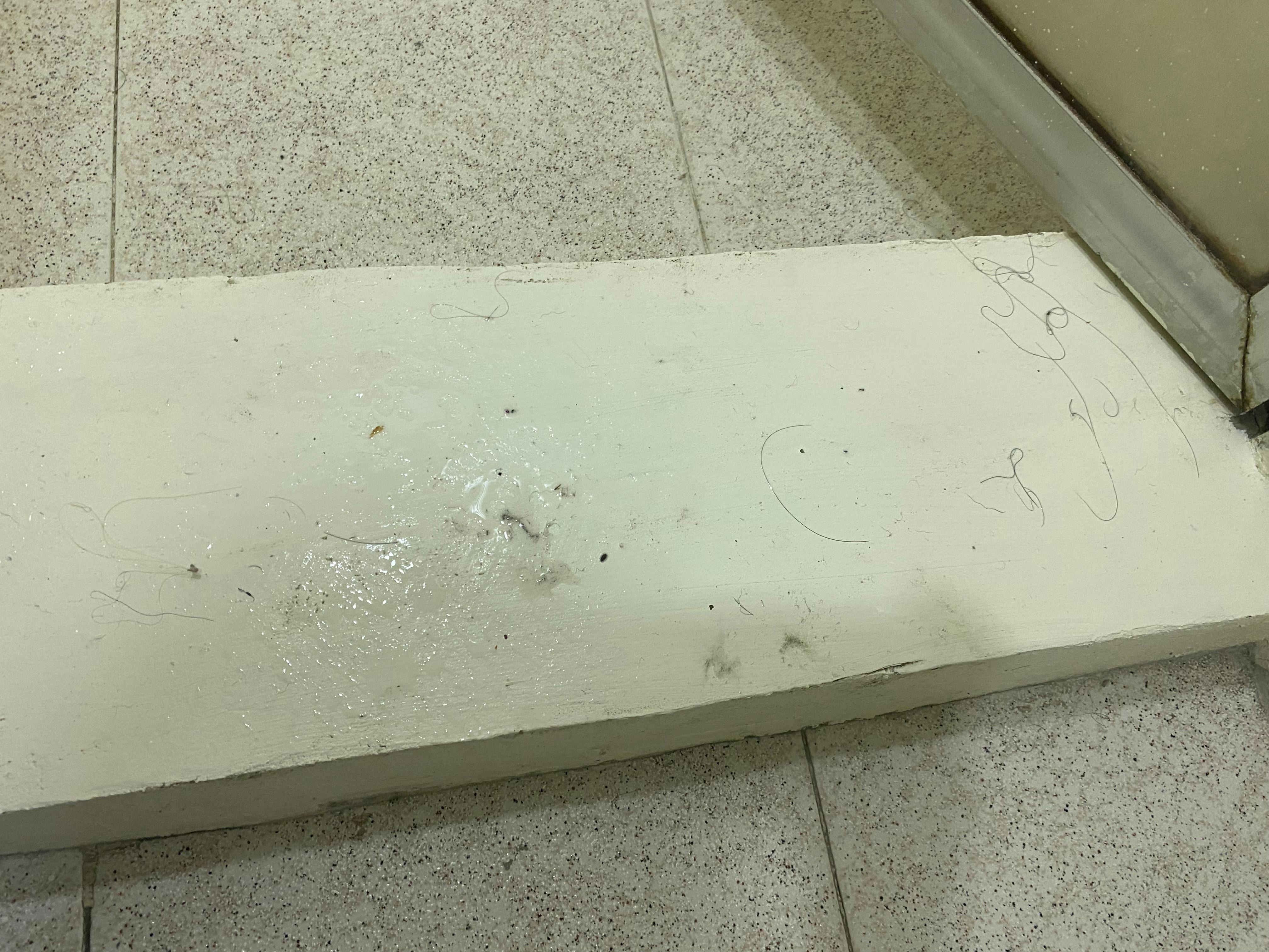 Piso sucio, pelos por todos lados