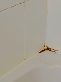 Mold in bathroom