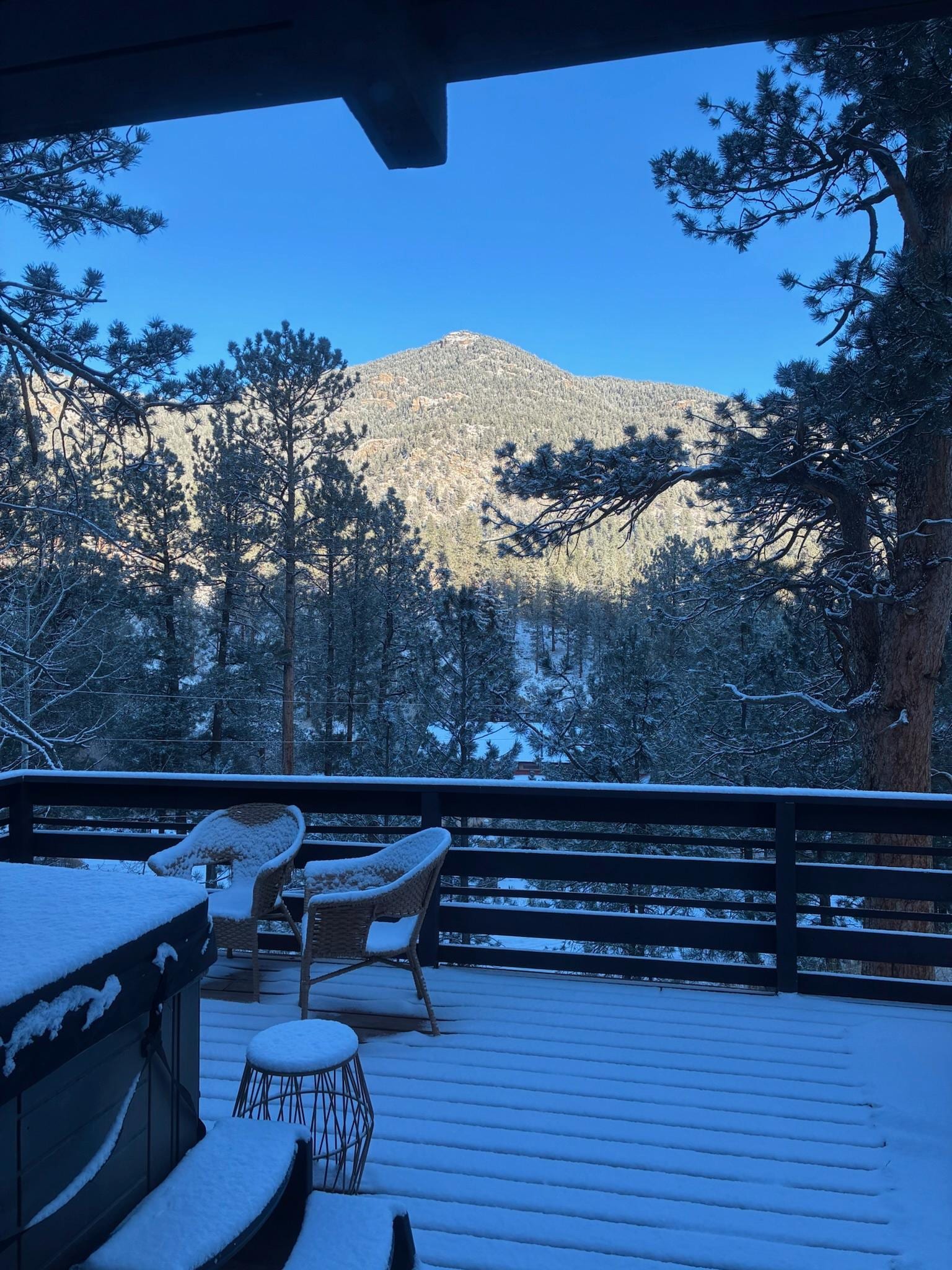 early snowy morning on the back deck.