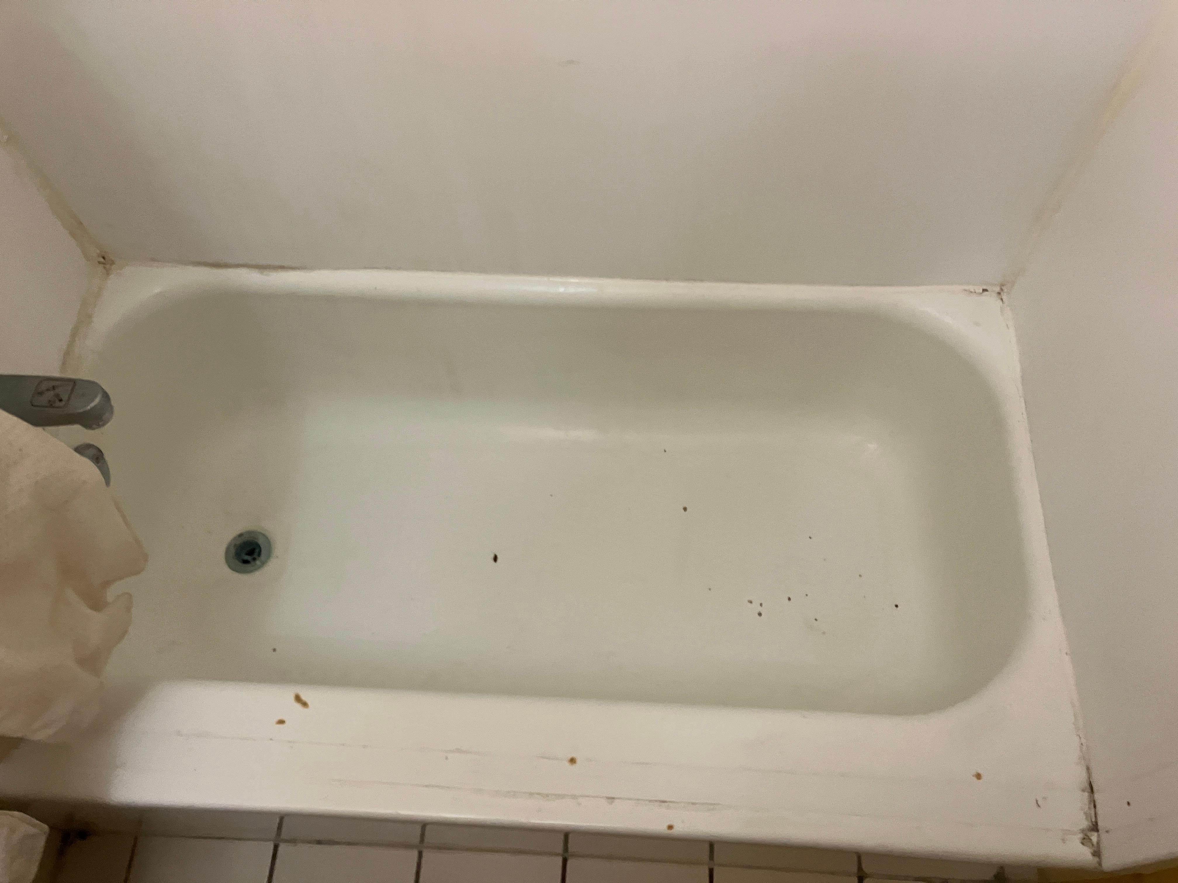 Filthy tub - old cig burns and roaches (cobwebs aren't visible but I felt several when investigating)