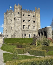 View from the garden.