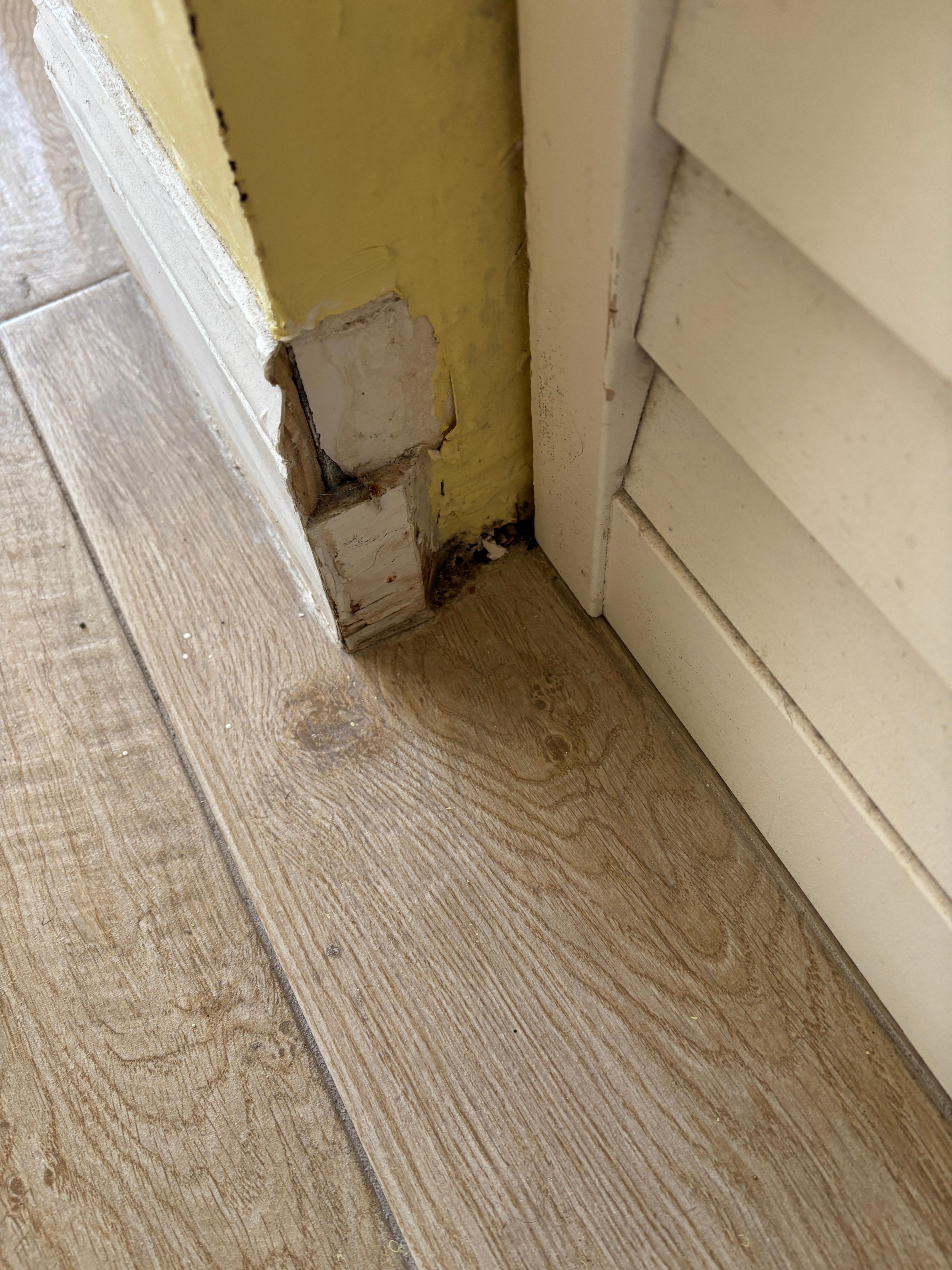 Damaged rotting trim with black mold.