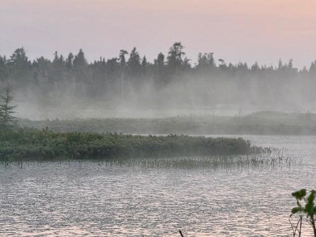 The waterway behind the cottage.