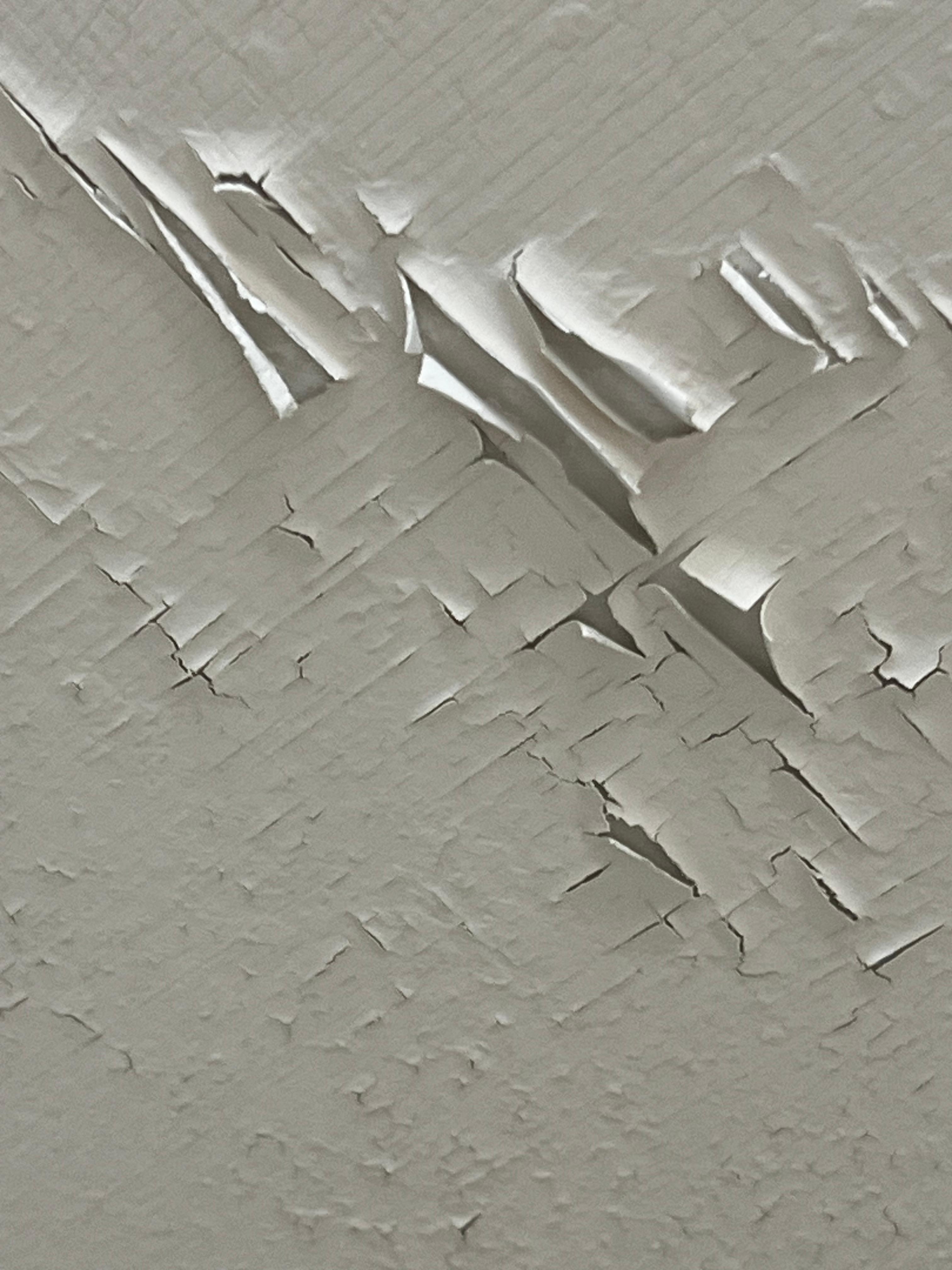 Ceiling of assigned room. 