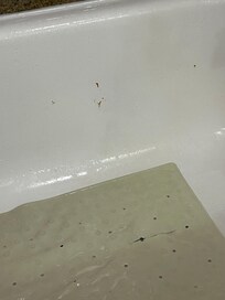 Rust and torn tub mat