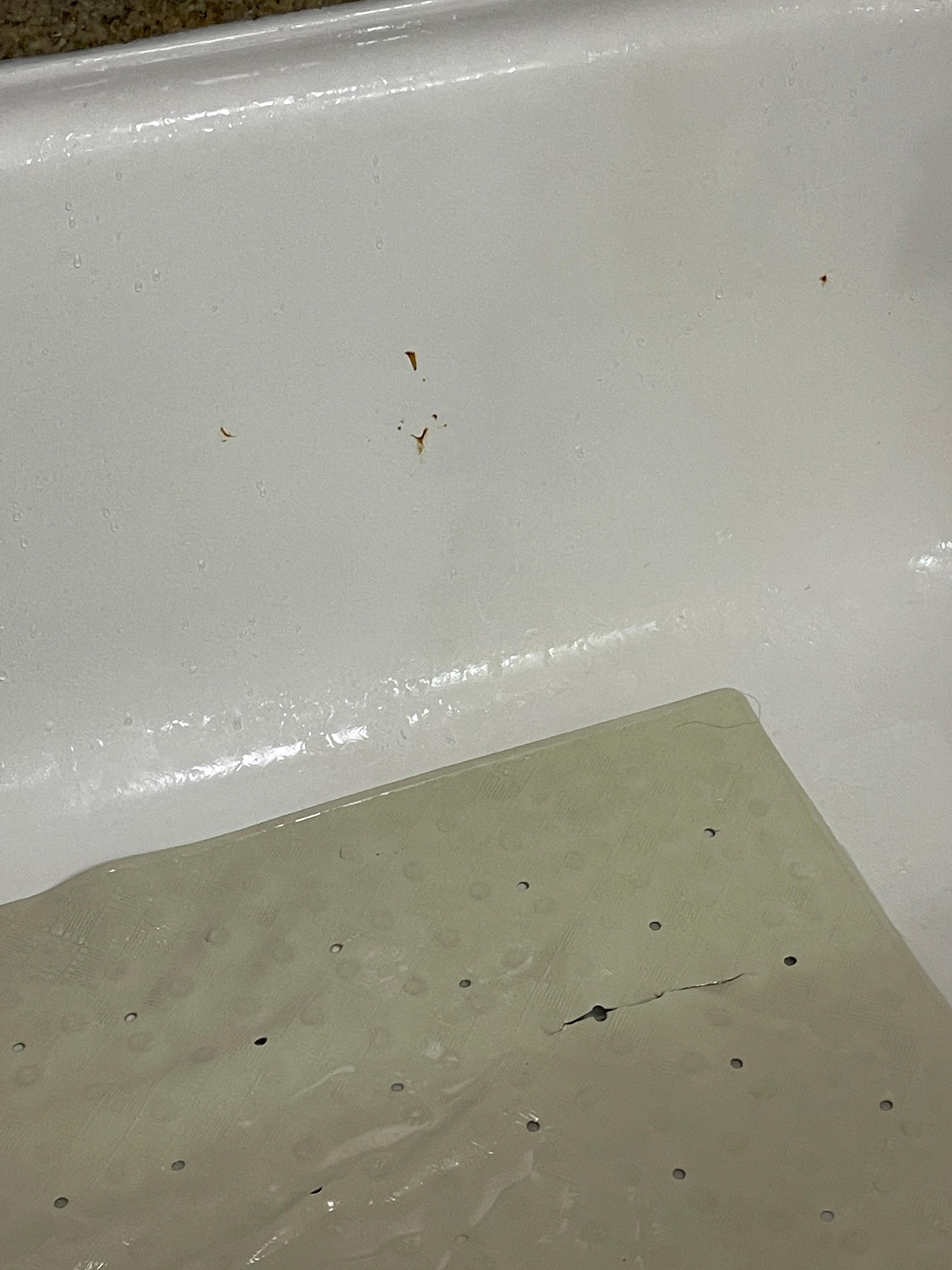 Rust and torn tub mat