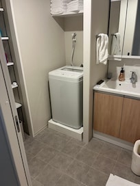 The main bathroom with washing machine. To the right is the wet bathroom with tub/shower