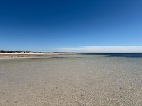 Hardwicke Bay - few minutes walk from the back door
