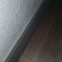 Web