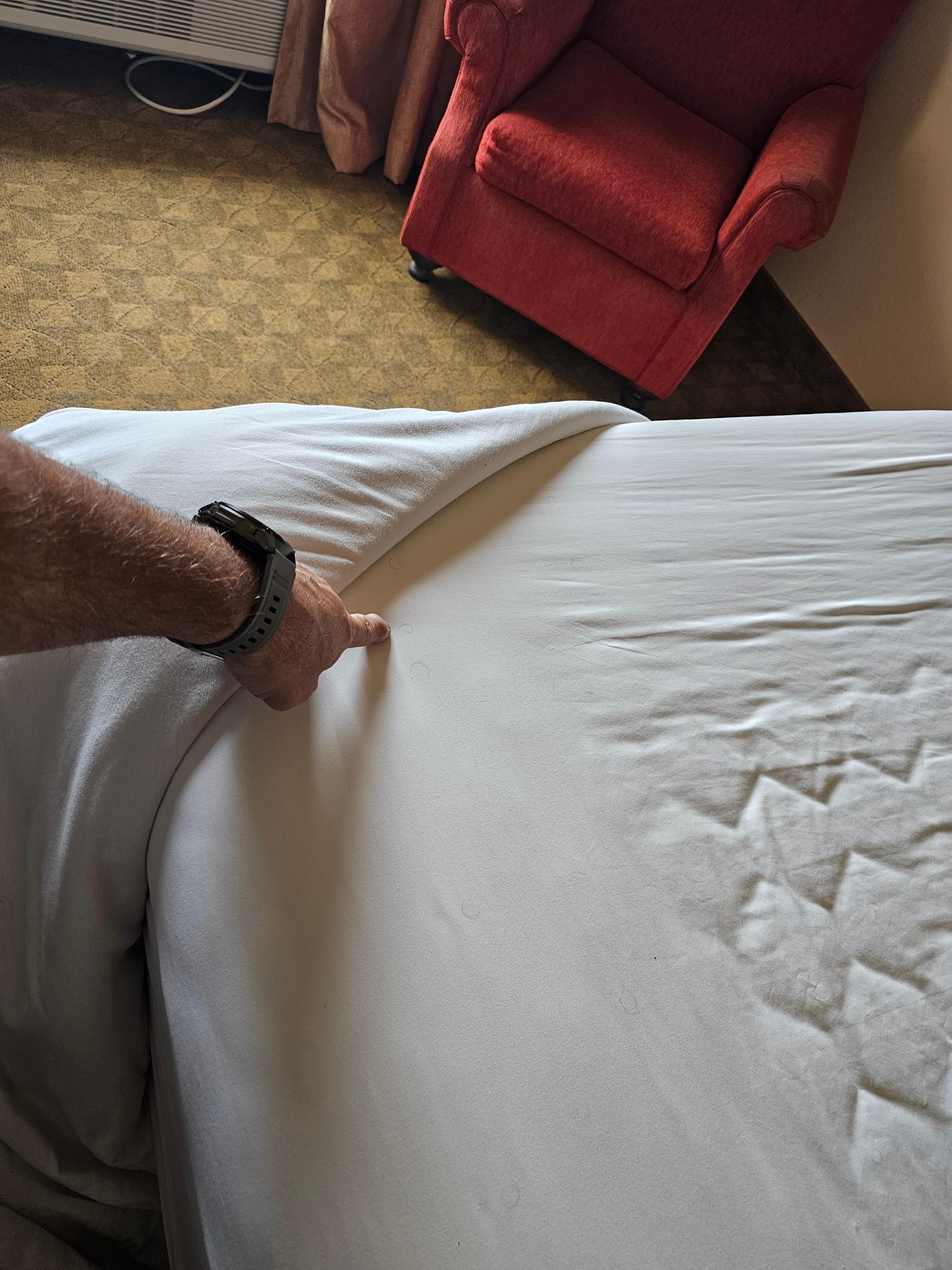 Zoom In - plenty to see