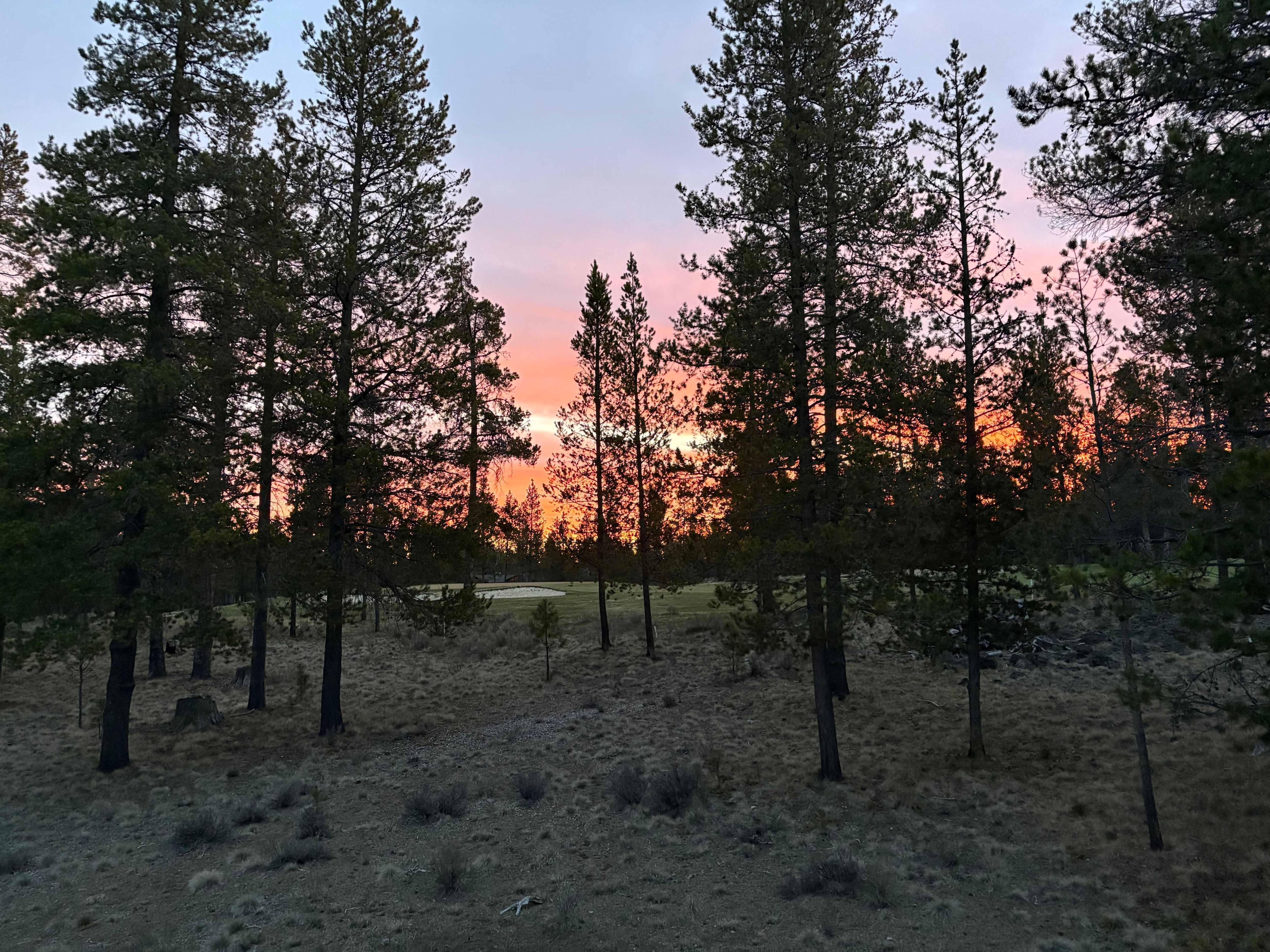 Sunrise from our kitchen window.
