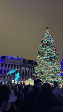Grand Palace lighting of the tree on November 28th!