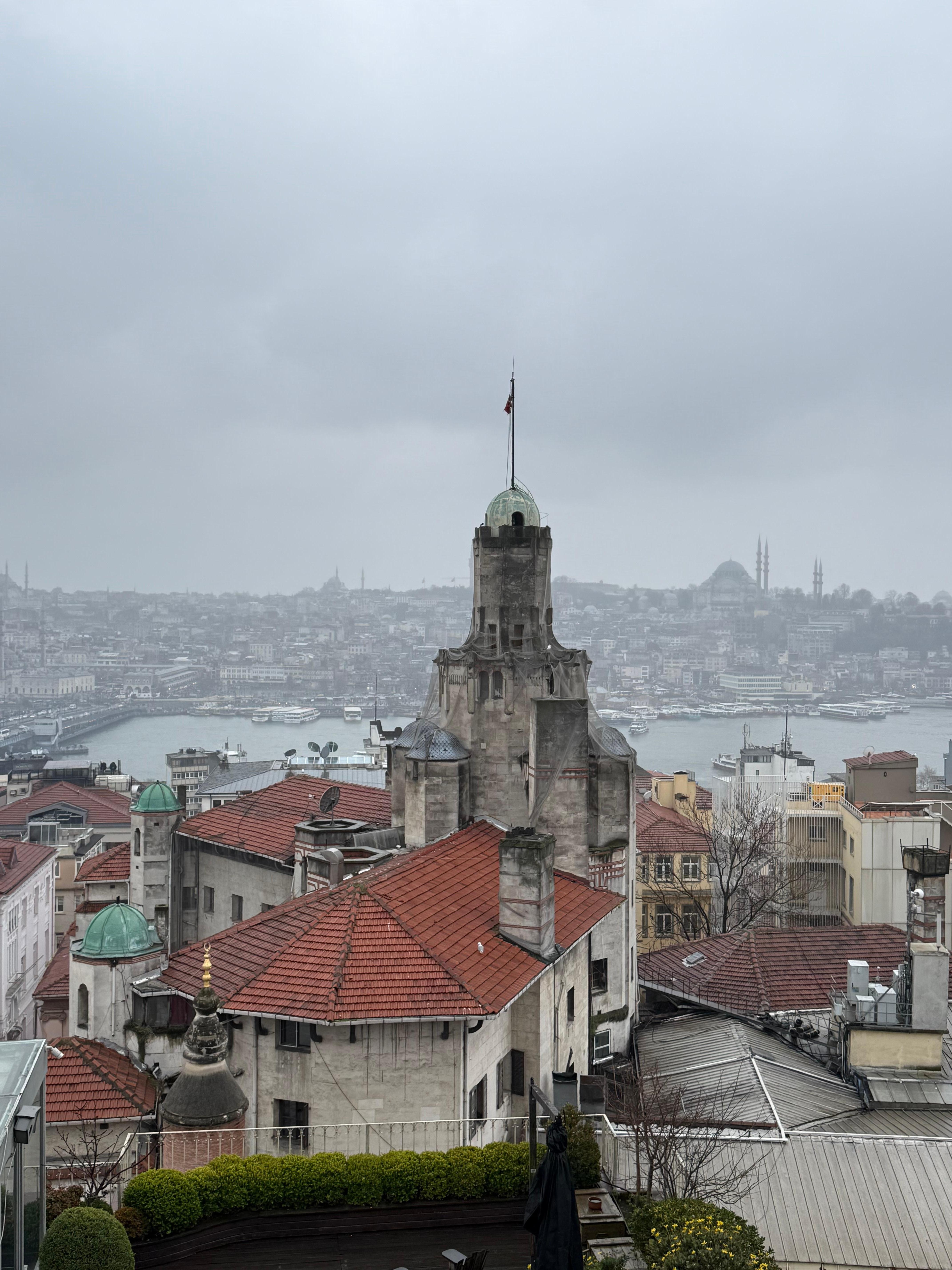 Views from the rooftop garden