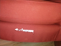 There was a rip in the chair