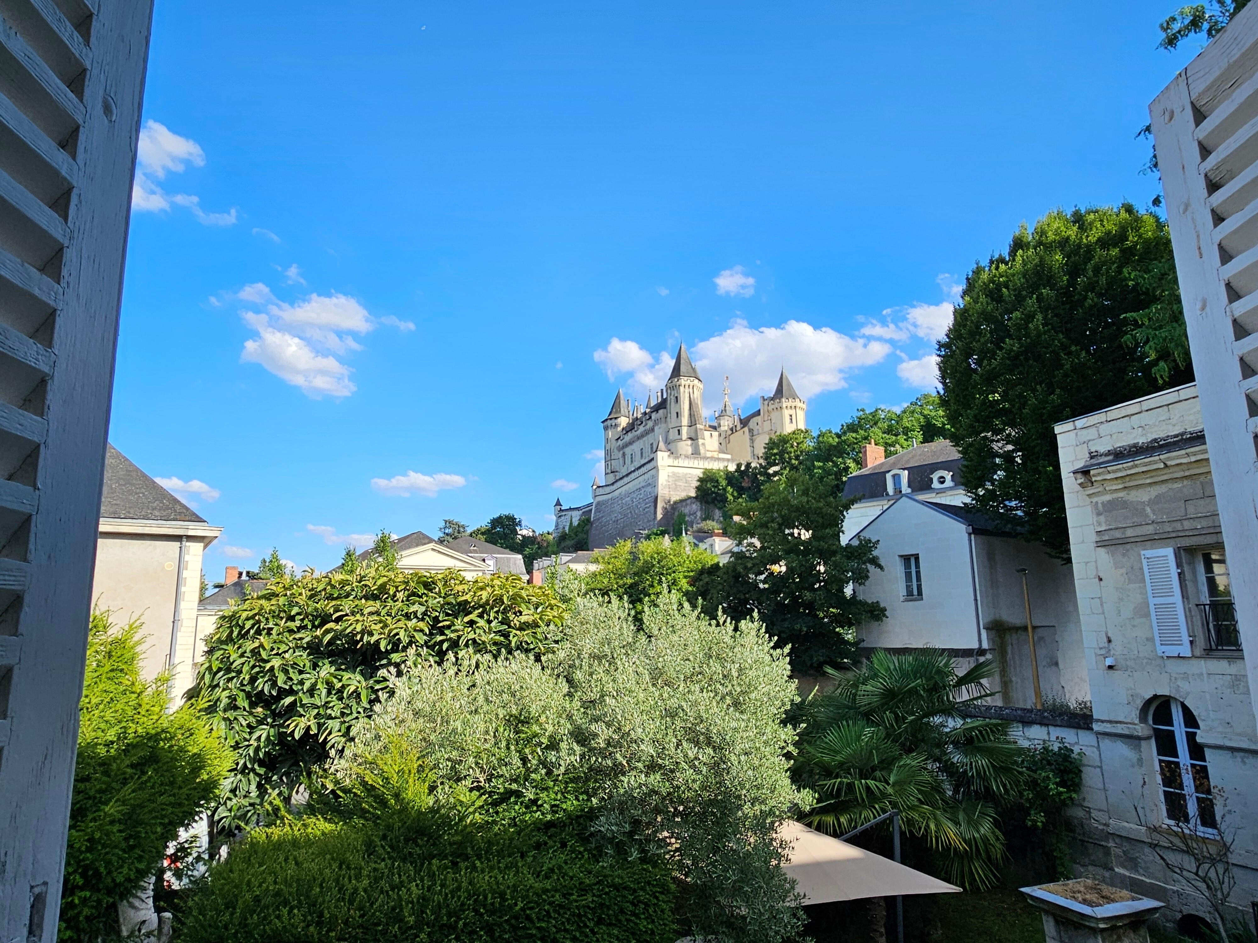 View from the garden