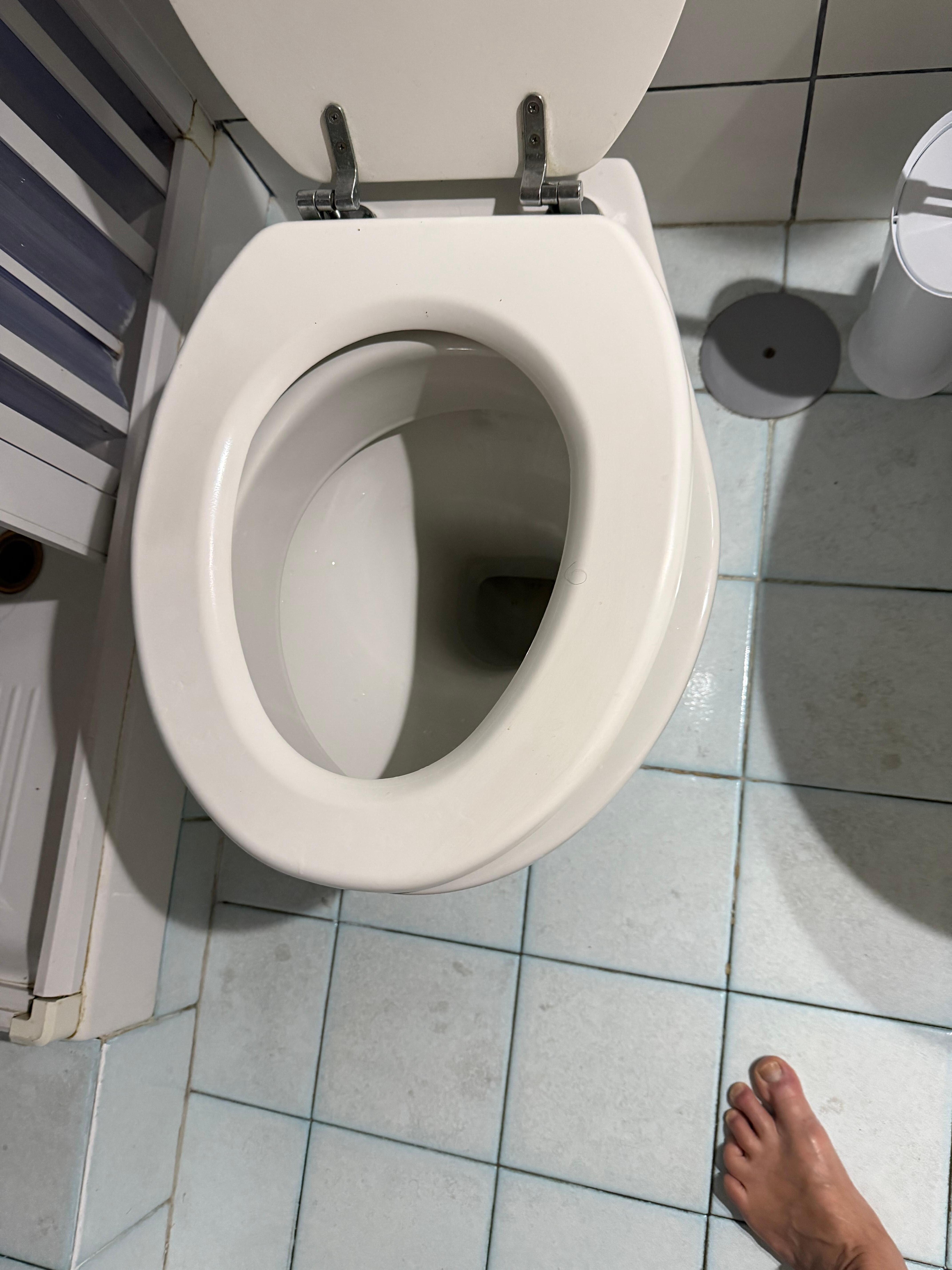 Toilet seat was loose and old.