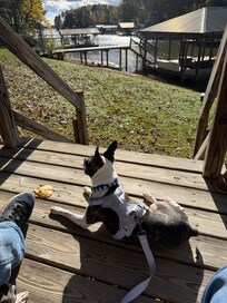 Enjoying the sunshine and relaxation from the gazebo looking out at the lake.