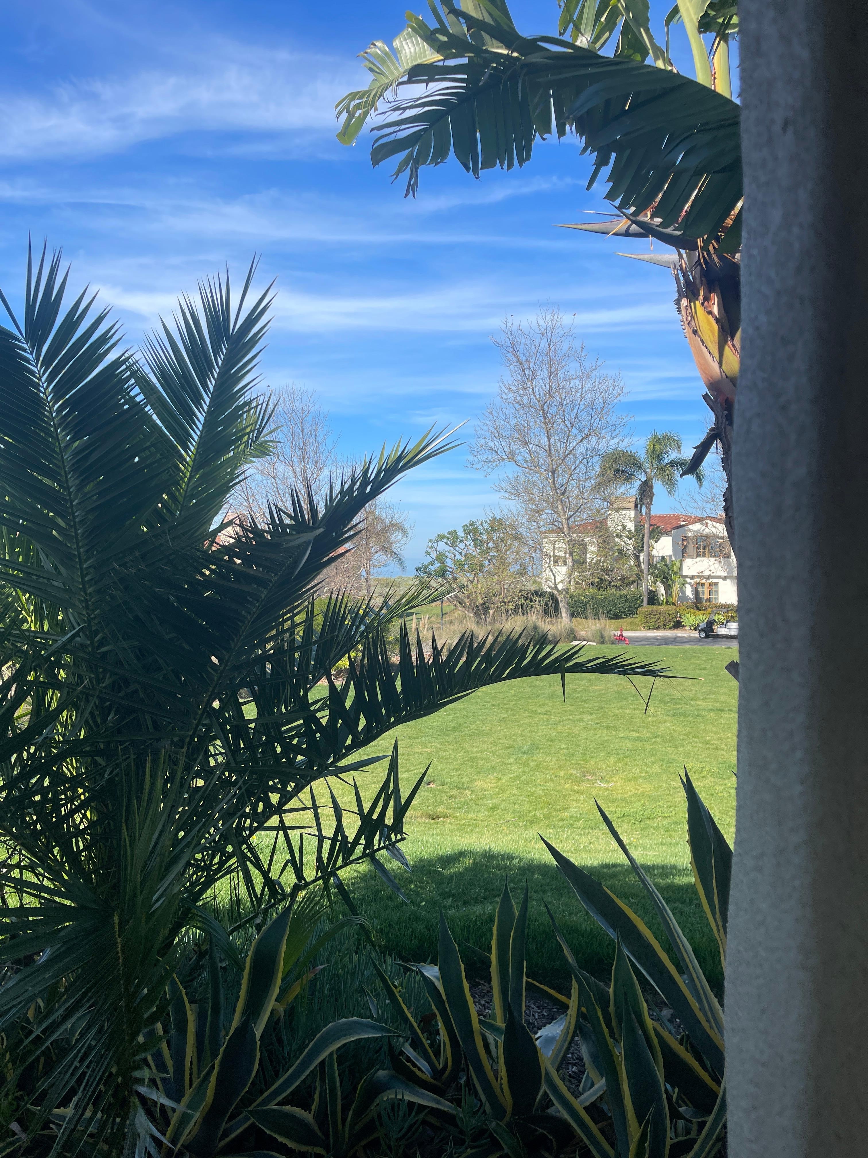 Standard ocean view-side window