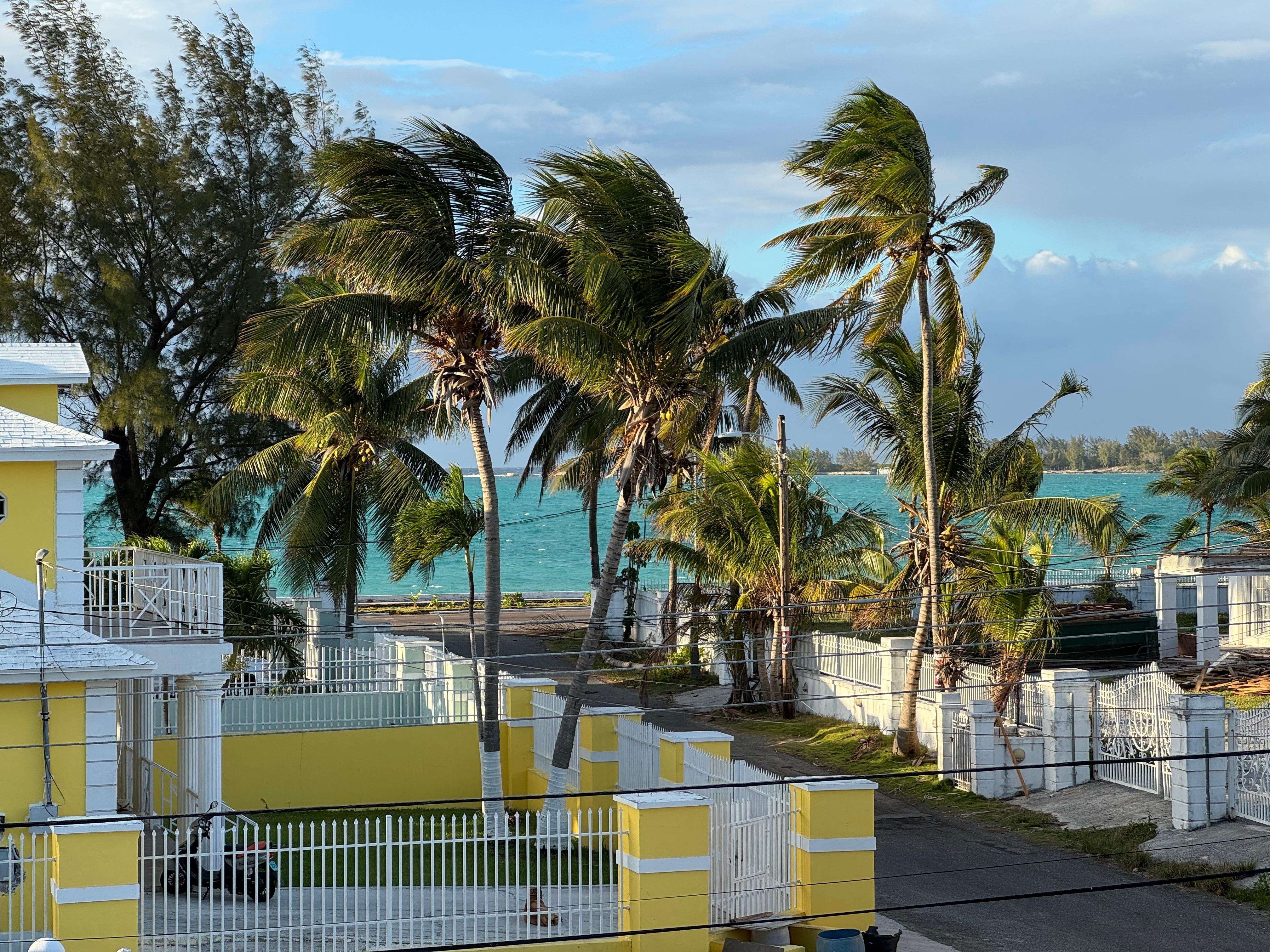 View from Balcony