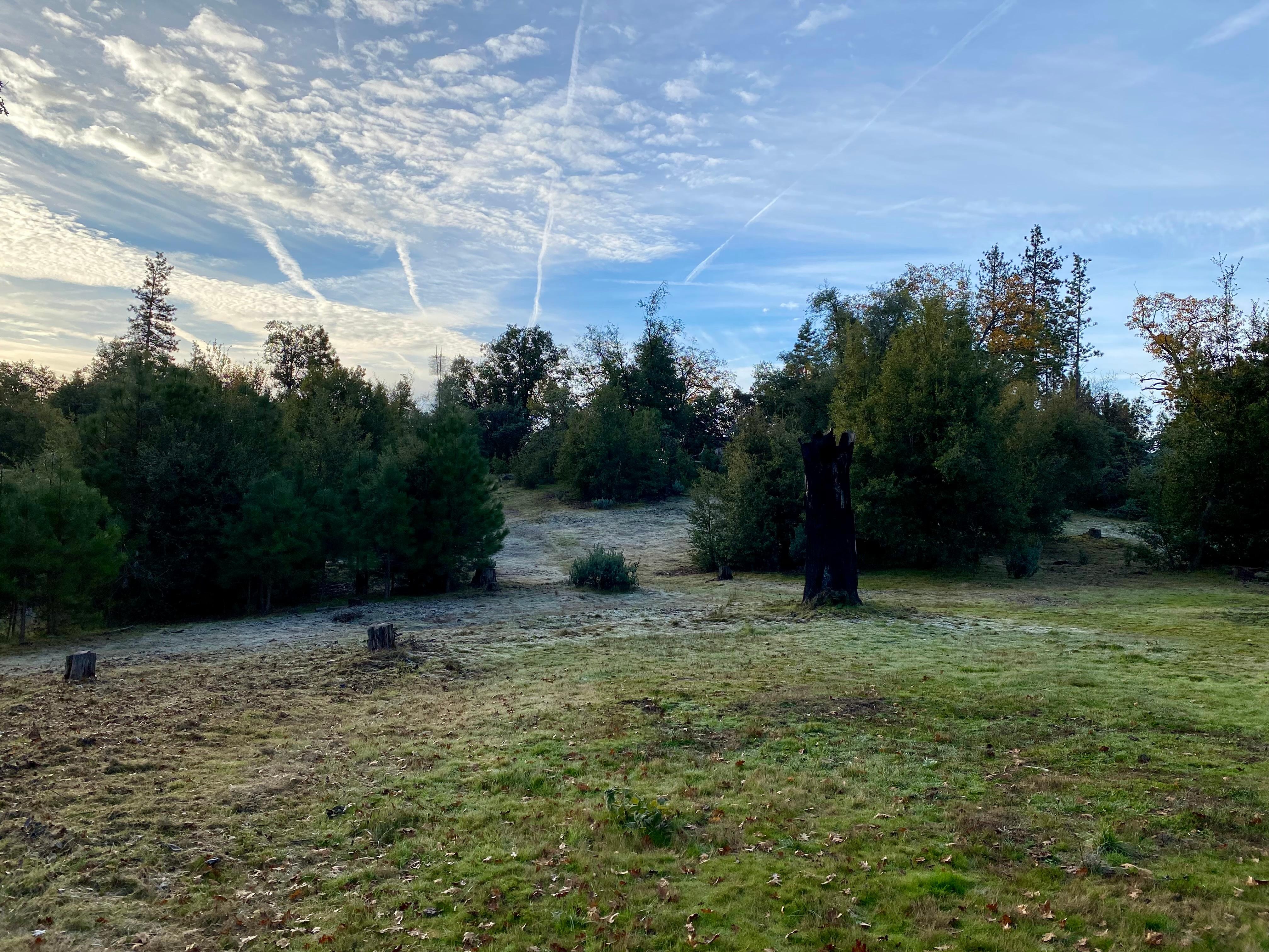 View surrounding the property. 