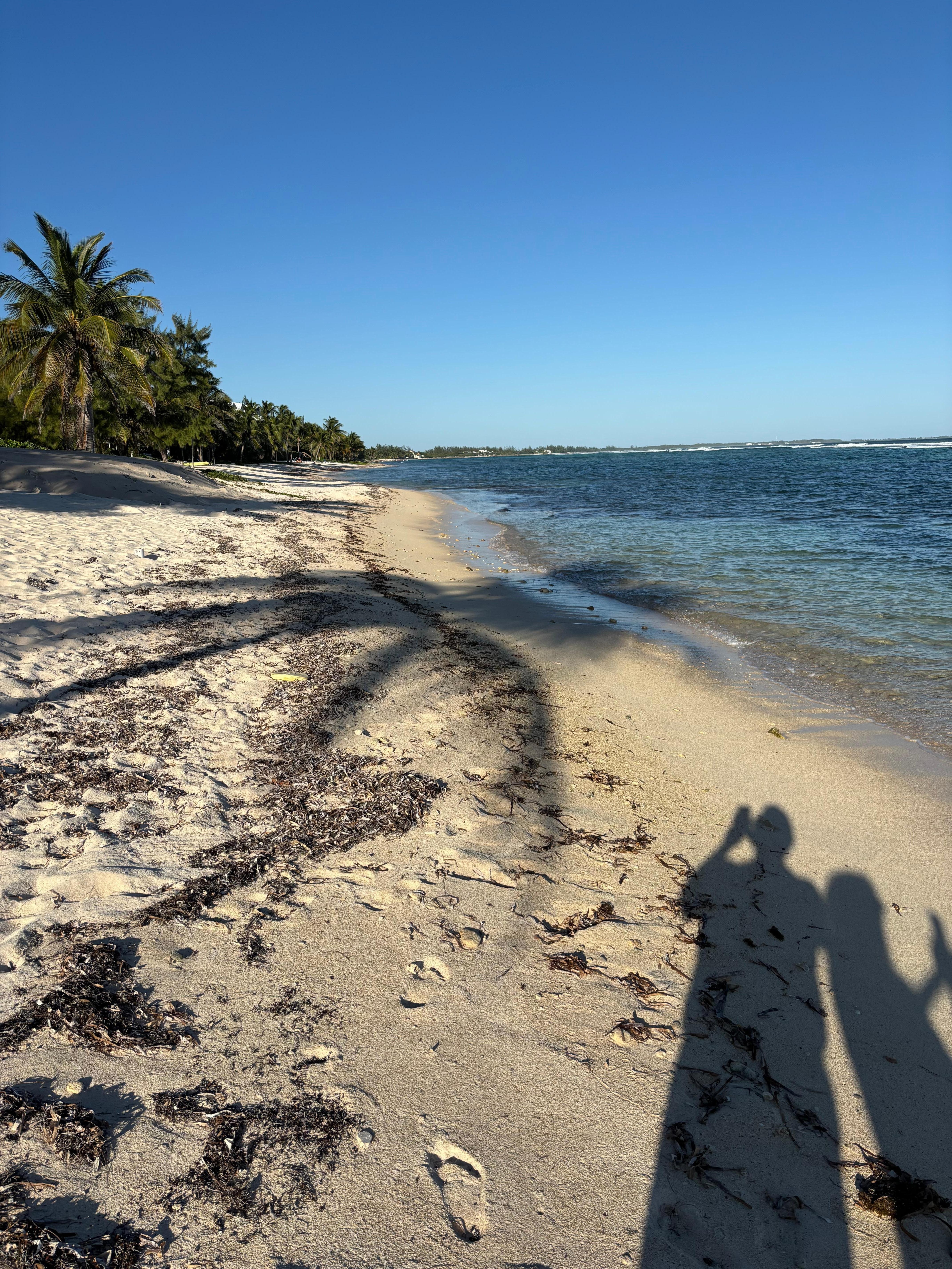 Beach suitable for walking