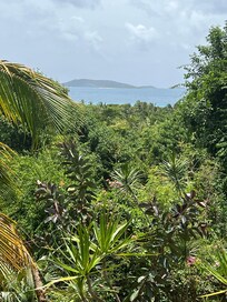 The view was beautiful.