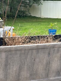 Plant box on deck