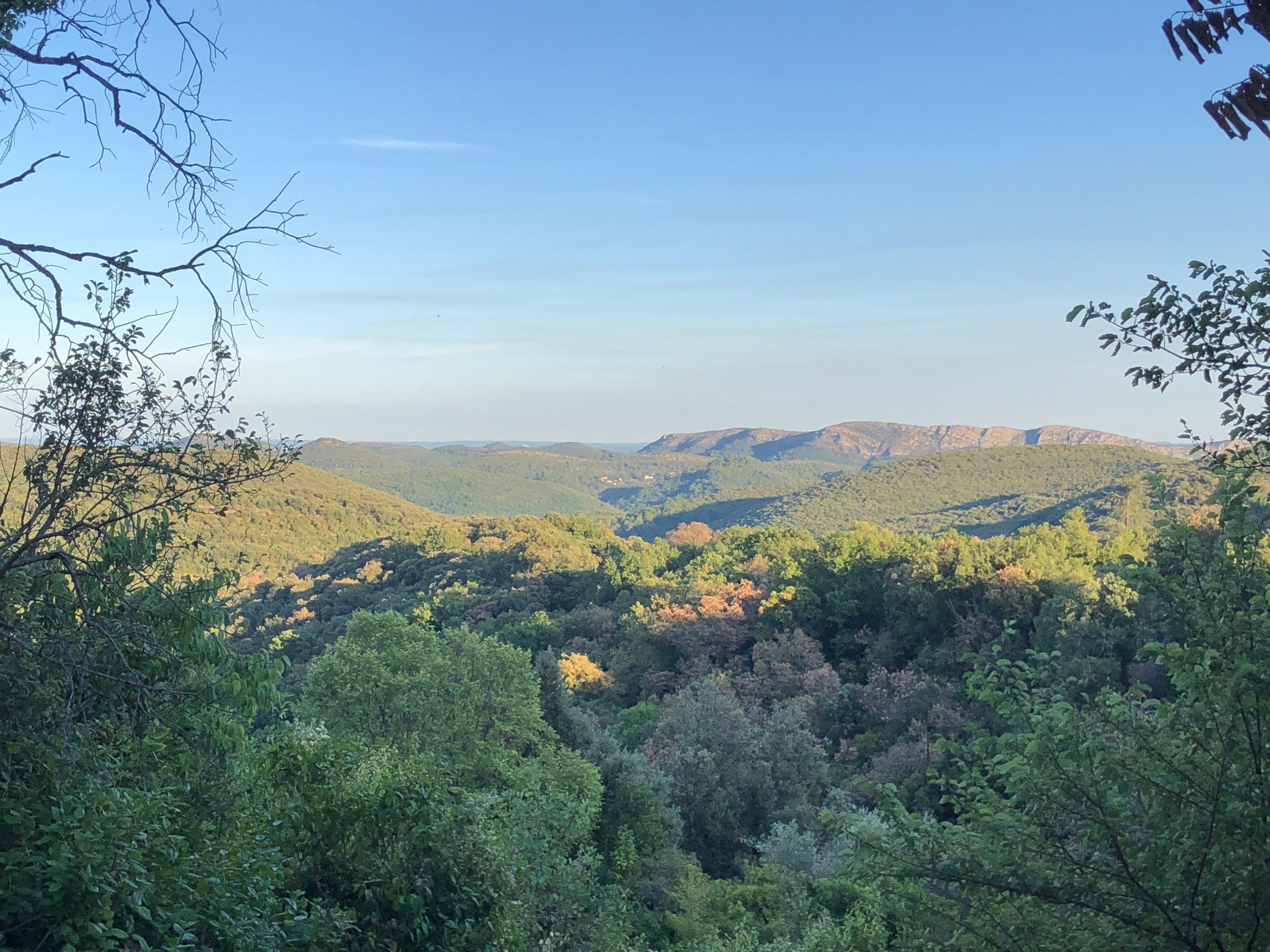 Vue des collines environnantes 
