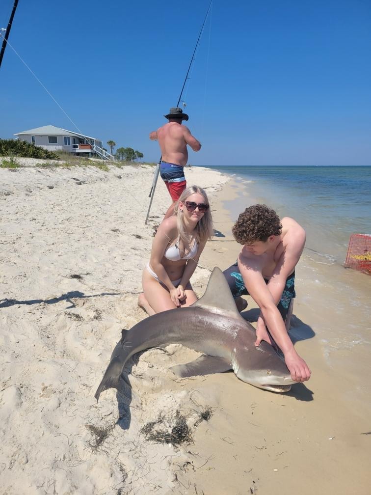 Catch, tagged,
Released 