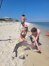 Catch, tagged,
Released