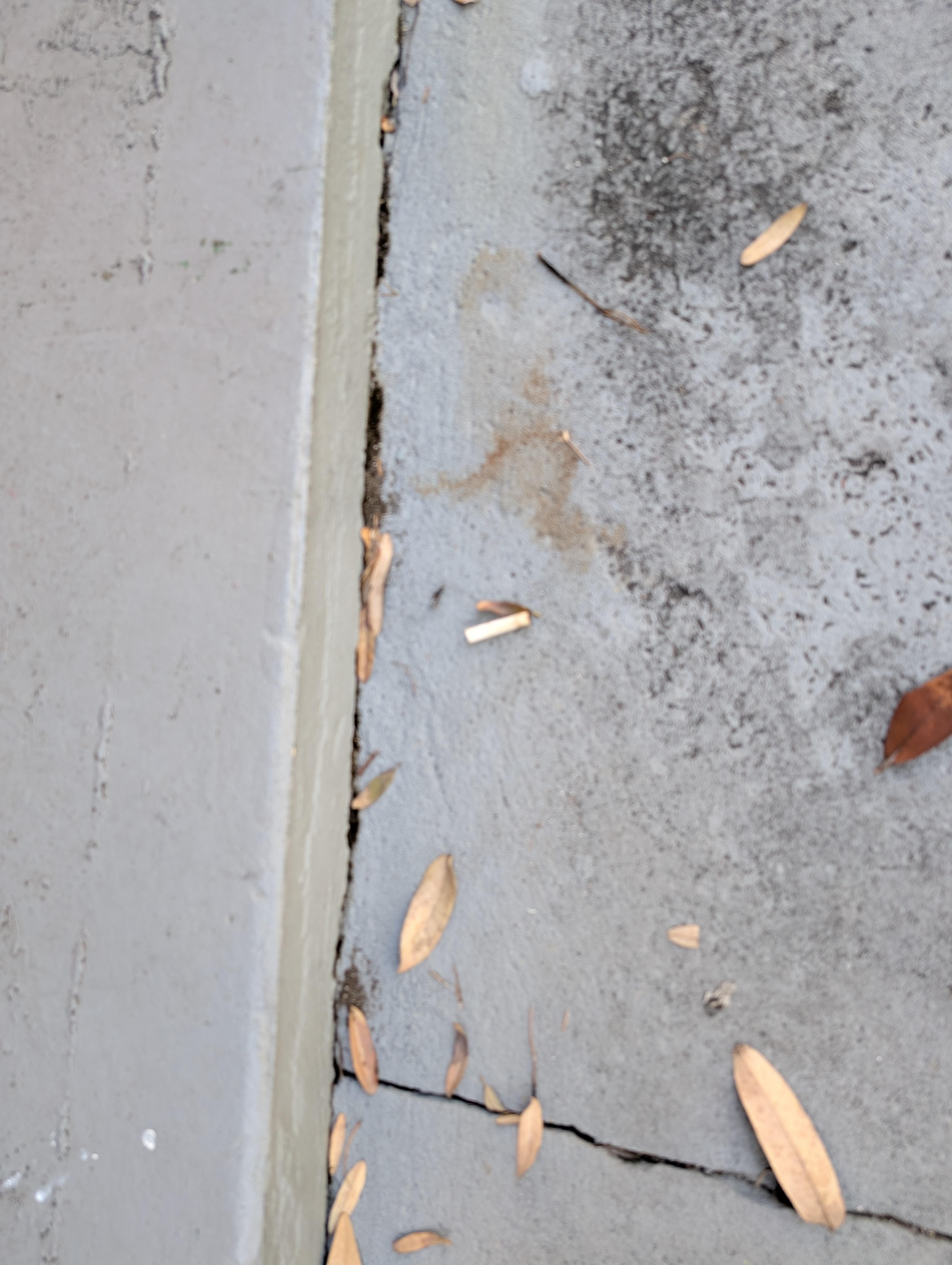 Cigarette butts outside front door on patio.