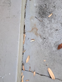 Cigarette butts outside front door on patio.