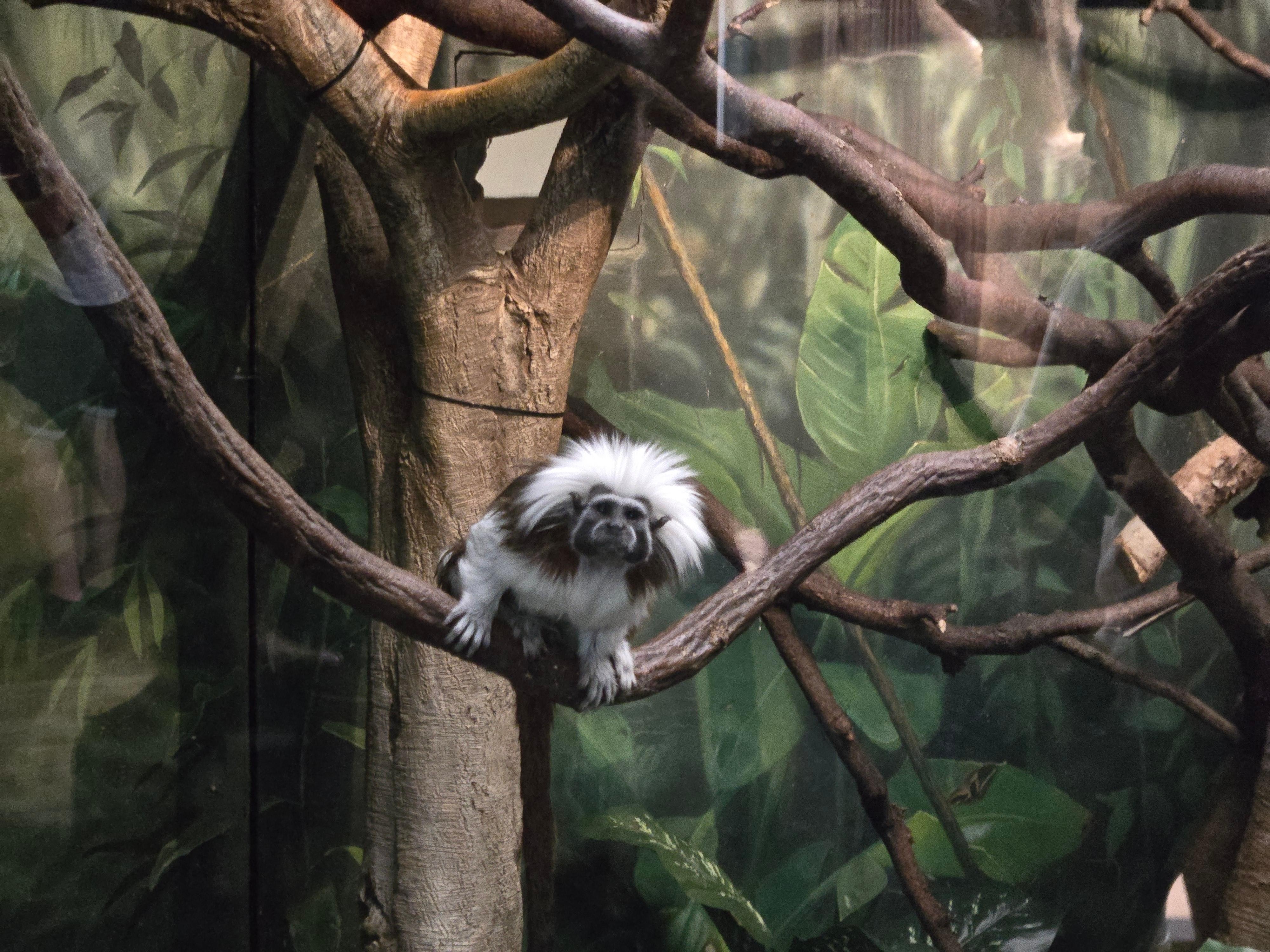 Central Park Zoo 