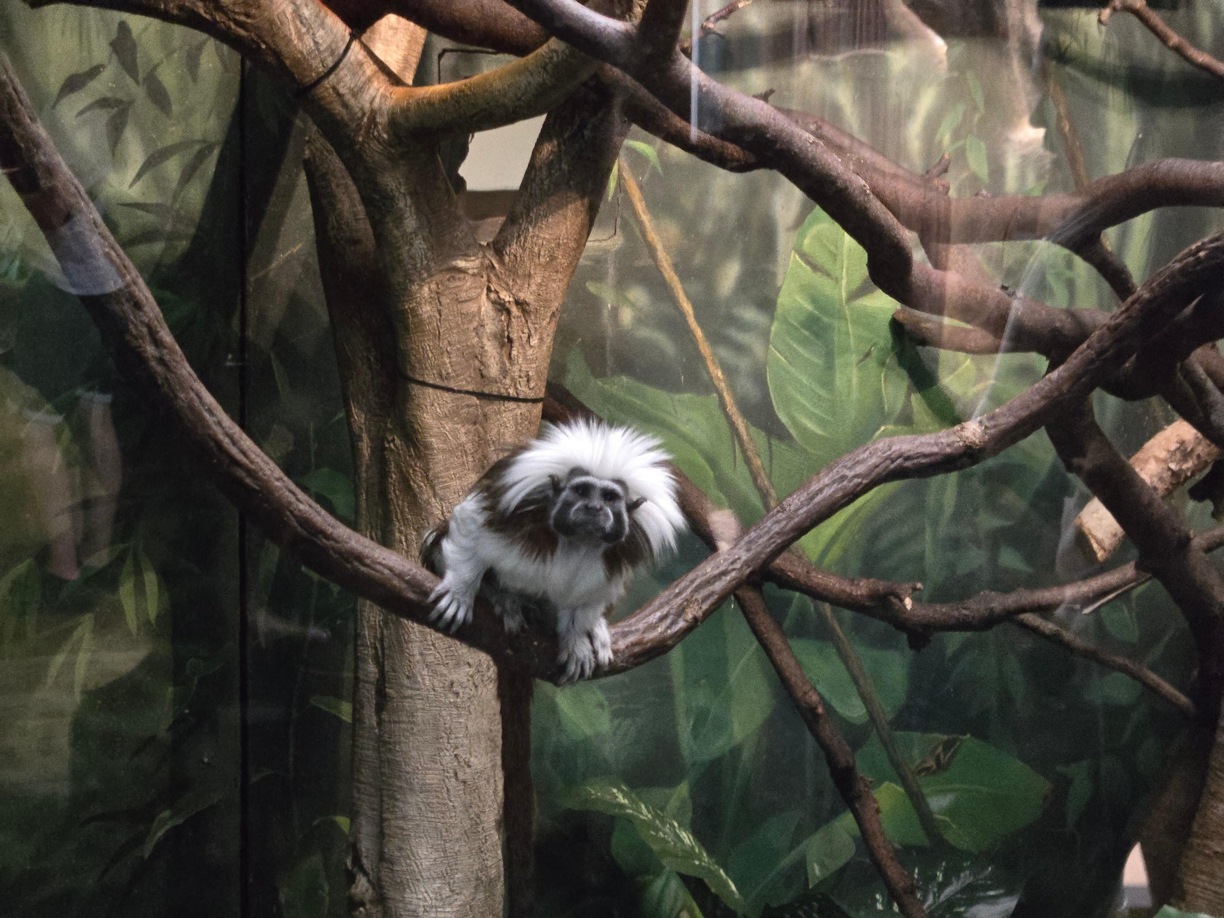 Central Park Zoo 